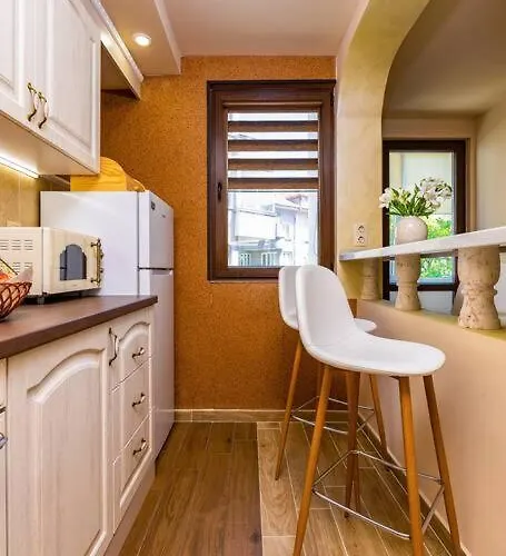 Park Dragan Tsankov Daire *